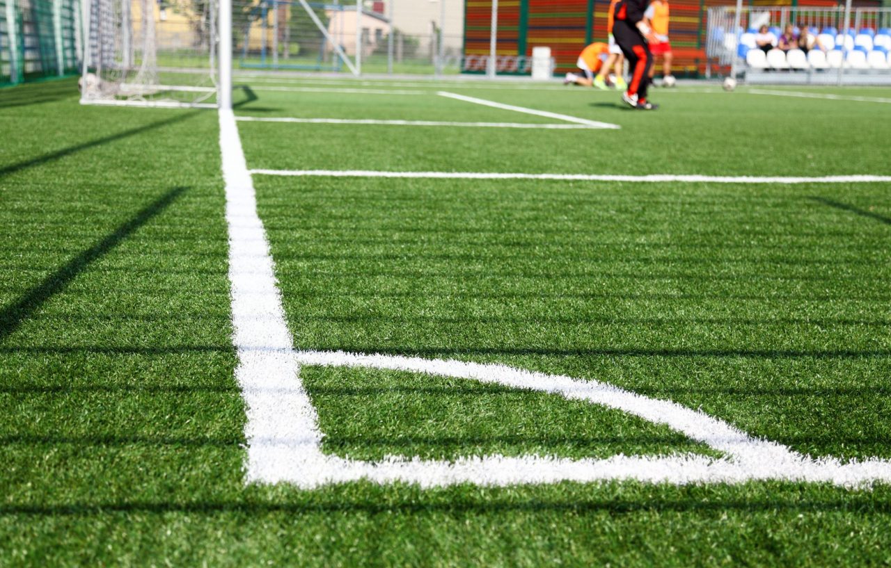 Synthetic CrossFit Turf