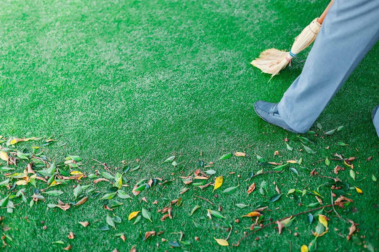 Artificial Grass for Dogs