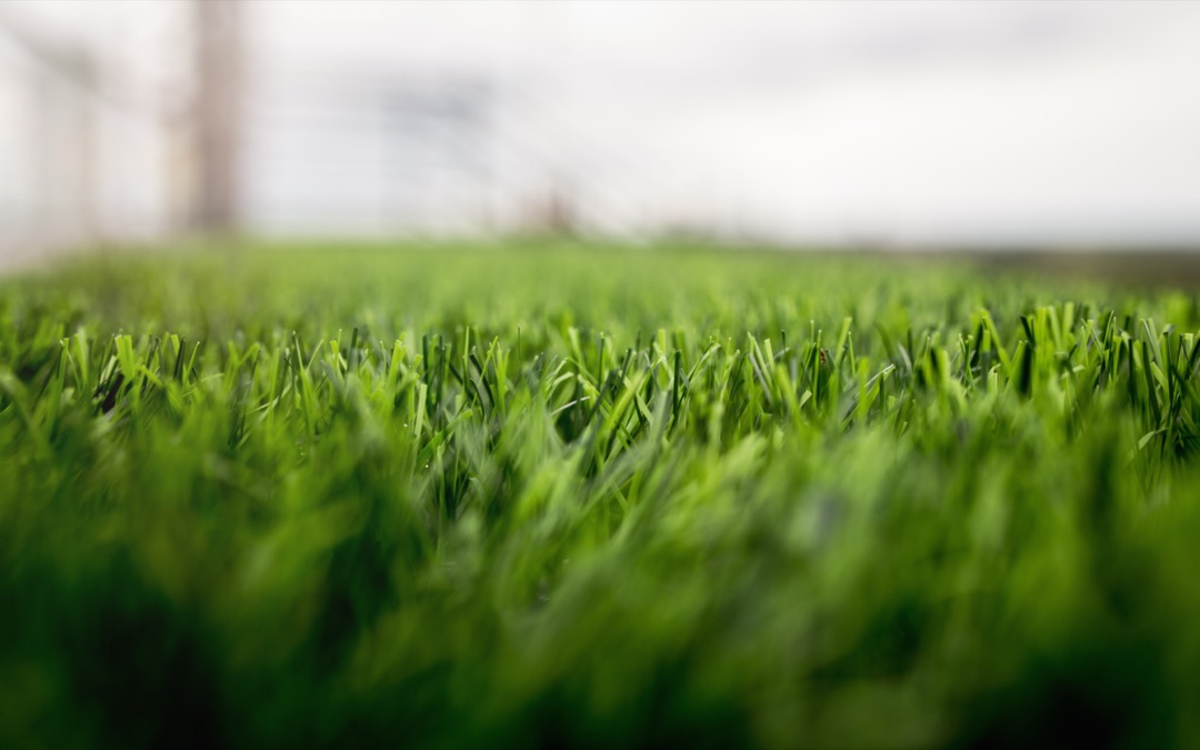 Closeup of artificial grass